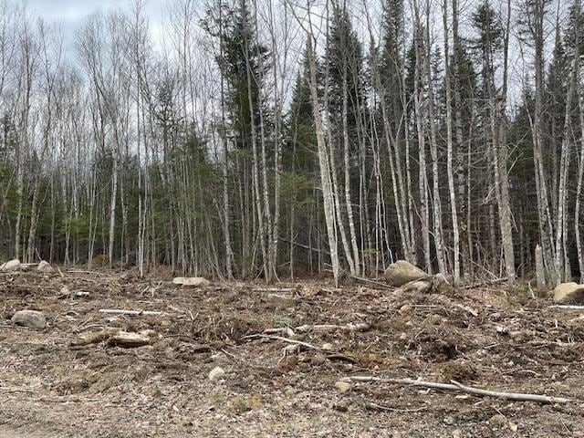 Listing photo 3 for LOT117 Big Snow Way, Rangeley ME 04970