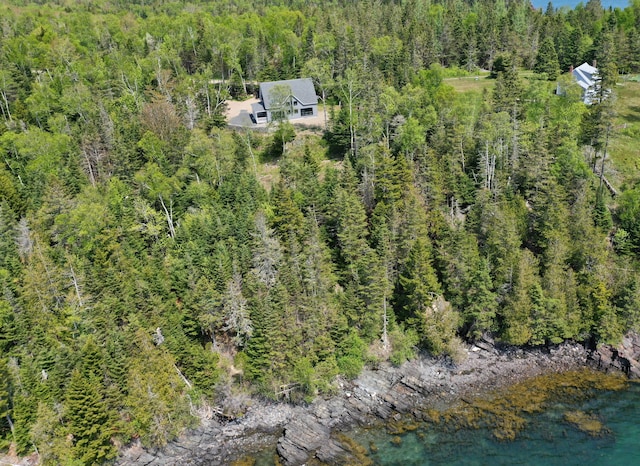 bird's eye view with a forest view