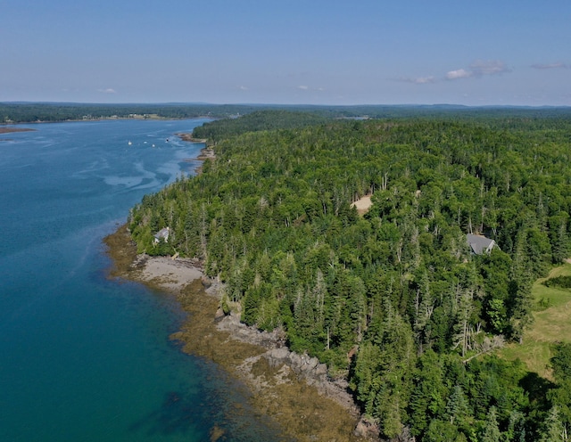 bird's eye view featuring a water view and a view of trees