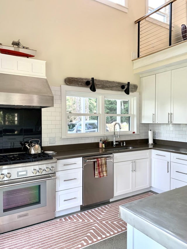 kitchen featuring decorative backsplash, a sink, stainless steel appliances, a wealth of natural light, and exhaust hood