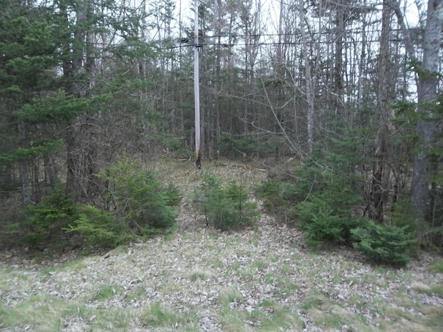 Listing photo 2 for M8L12-1 Cooper Hwy, Cooper ME 04657