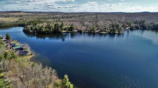 242 Crescent Park Rd, New Limerick, ME 04761 - birds eye view of property with a water view