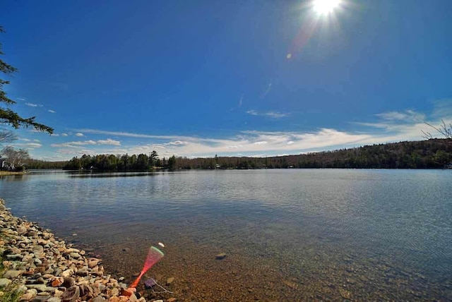 242 Crescent Park Rd, New Limerick, ME 04761 - view of water feature