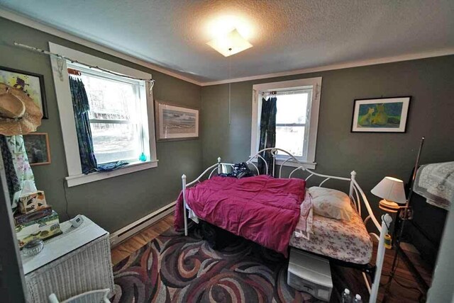242 Crescent Park Rd, New Limerick, ME 04761 - bedroom featuring dark hardwood / wood-style floors, a baseboard heating unit, a textured ceiling, and crown molding