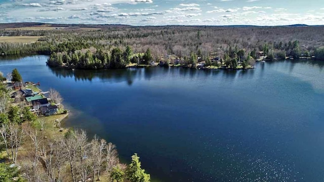 242 Crescent Park Rd, New Limerick, ME 04761 - bird's eye view with a water view