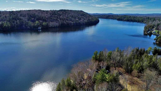 242 Crescent Park Rd, New Limerick, ME 04761 - view of property view of water