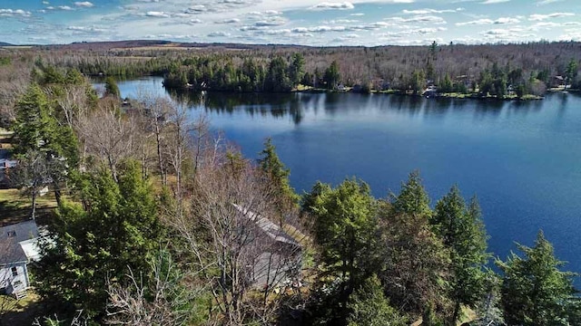 242 Crescent Park Rd, New Limerick, ME 04761 - exterior space with a water view