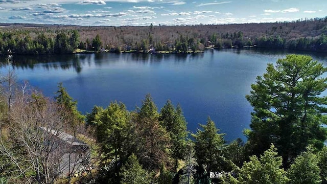 242 Crescent Park Rd, New Limerick, ME 04761 - view of property view of water
