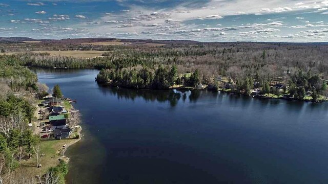 242 Crescent Park Rd, New Limerick, ME 04761 - drone / aerial view with a water view