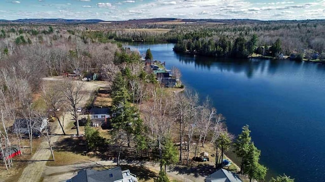 242 Crescent Park Rd, New Limerick, ME 04761 - drone / aerial view featuring a water view