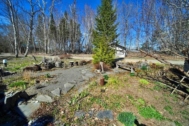 242 Crescent Park Rd, New Limerick, ME 04761 - view of yard