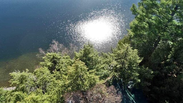 242 Crescent Park Rd, New Limerick, ME 04761 - view of local wilderness featuring a water view