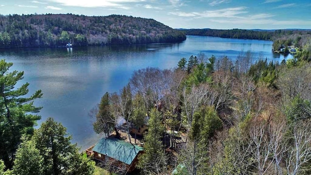 242 Crescent Park Rd, New Limerick, ME 04761 - view of water feature