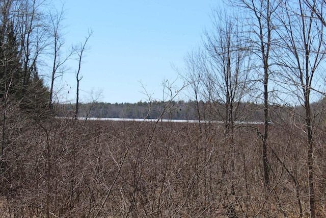 Listing photo 3 for MP1LOT2 Augusta Rd, Morrill ME 04952