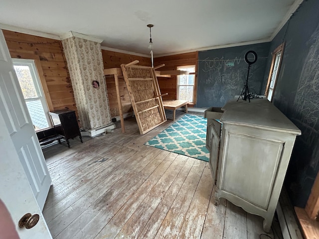 interior space with wood walls, a wealth of natural light, and light hardwood / wood-style flooring