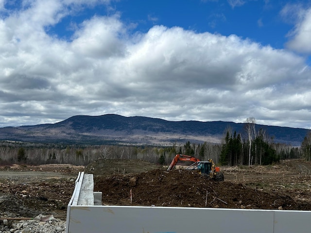 view of mountain feature