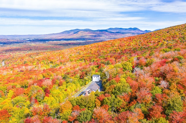 birds eye view of property featuring a mountain view