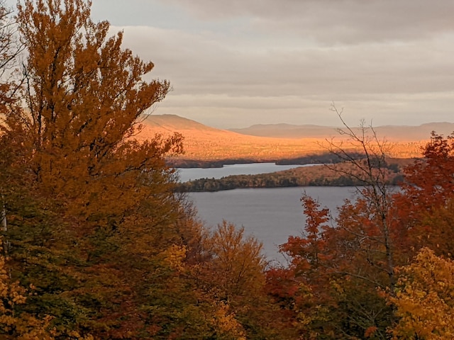 property view of water featuring a mountain view