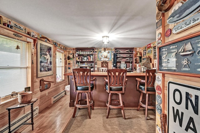 bar with a baseboard radiator and wooden walls