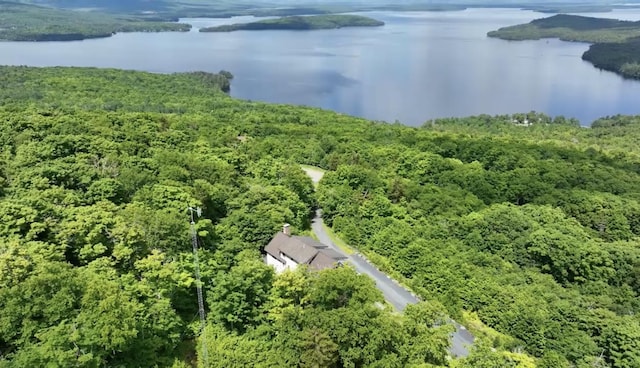 74 Hilltop Dr, Greenville, ME 04441 - photo 10
