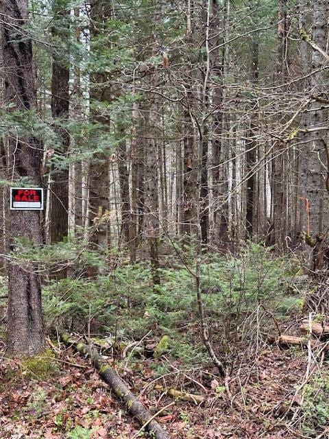 Listing photo 3 for LOT3 Bennoch Rd, Lagrange ME 04453