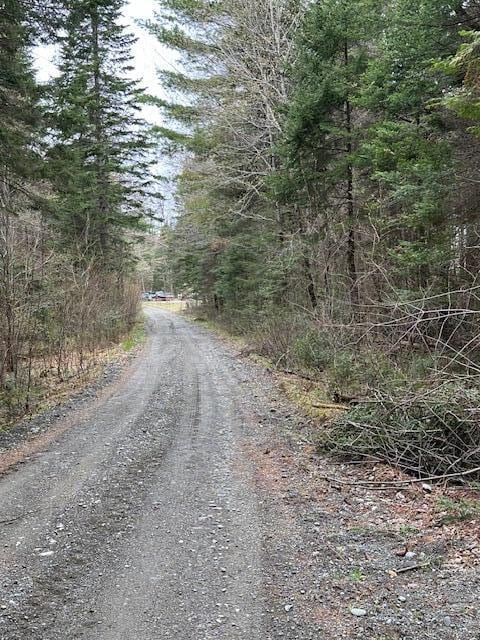 Listing photo 2 for LOT3 Bennoch Rd, Lagrange ME 04453