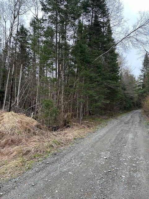 LOT3 Bennoch Rd, Lagrange ME, 04453 land for sale