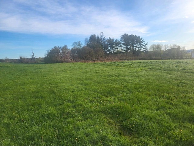 view of yard featuring a rural view