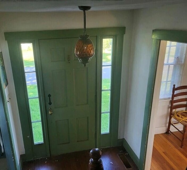 entryway with plenty of natural light and hardwood / wood-style flooring