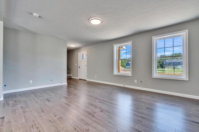 spare room featuring wood-type flooring