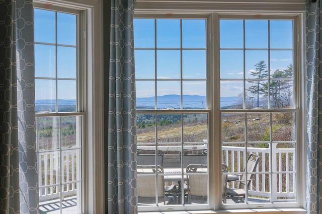 doorway featuring plenty of natural light and a mountain view