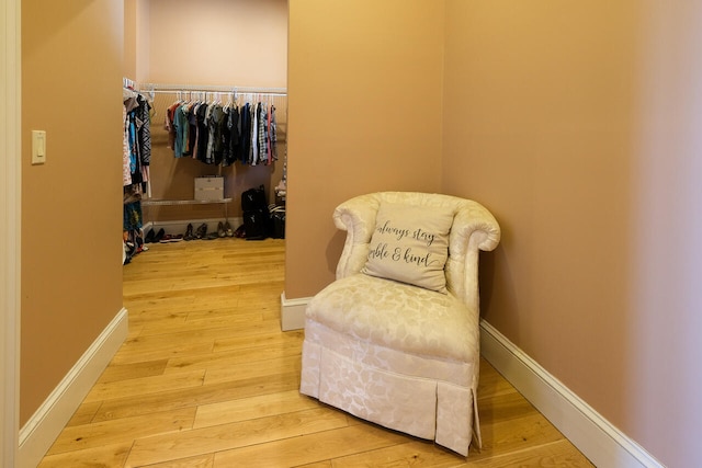 spacious closet with wood-type flooring