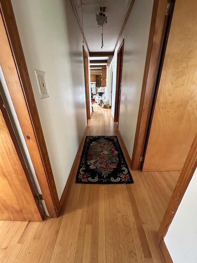 corridor featuring crown molding and hardwood / wood-style flooring