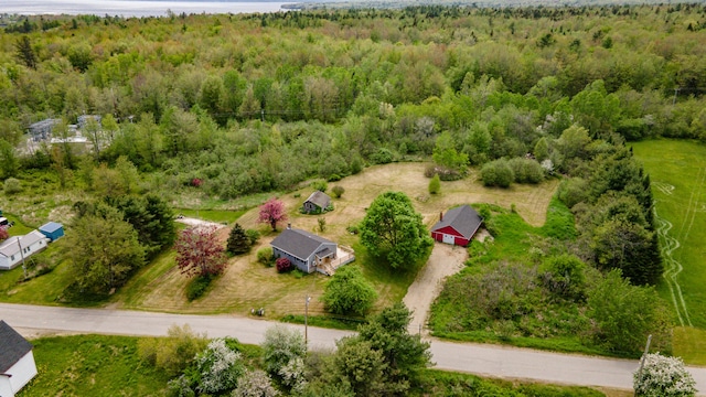 14 Porter St, Searsport, ME 04974 - bird's eye view of a forest