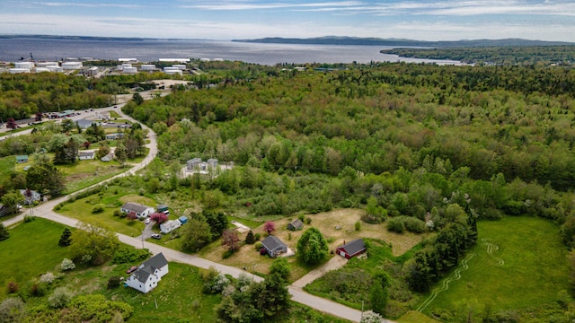 14 Porter St, Searsport, ME 04974 - view of property location featuring a forest and a nearby body of water