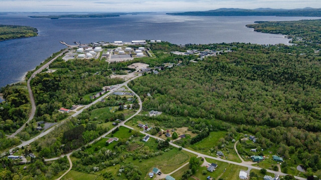 14 Porter St, Searsport, ME 04974 - aerial view of property's location with a water and mountain view and a forest