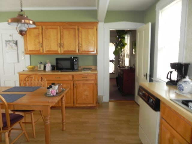 kitchen featuring white dishwasher, a healthy amount of sunlight, decorative light fixtures, and light hardwood / wood-style flooring