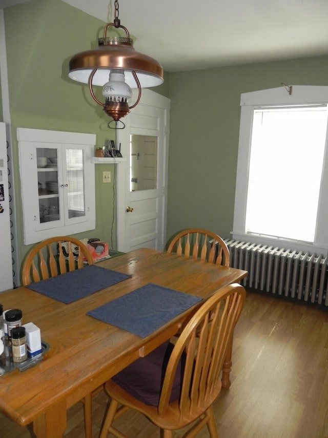 dining space featuring hardwood / wood-style floors