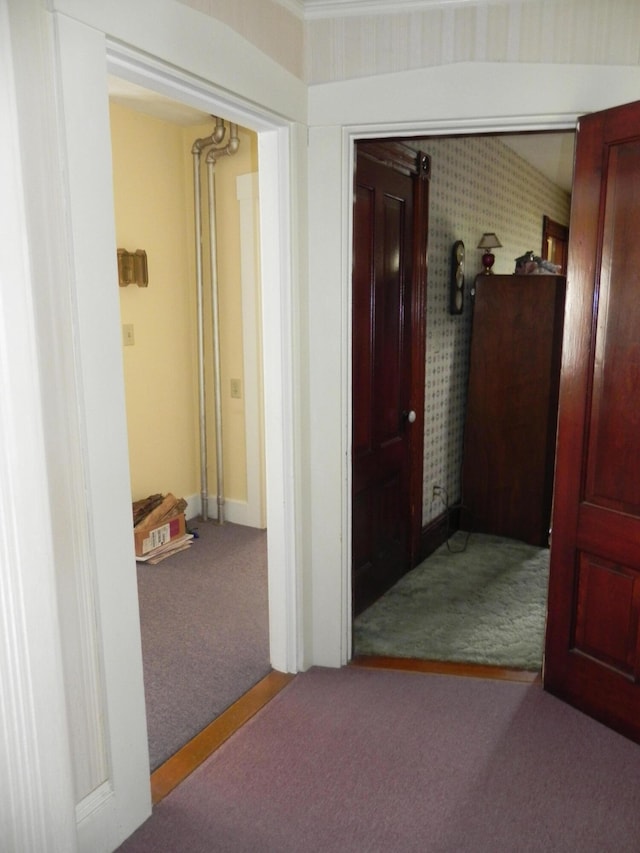 hallway featuring carpet flooring