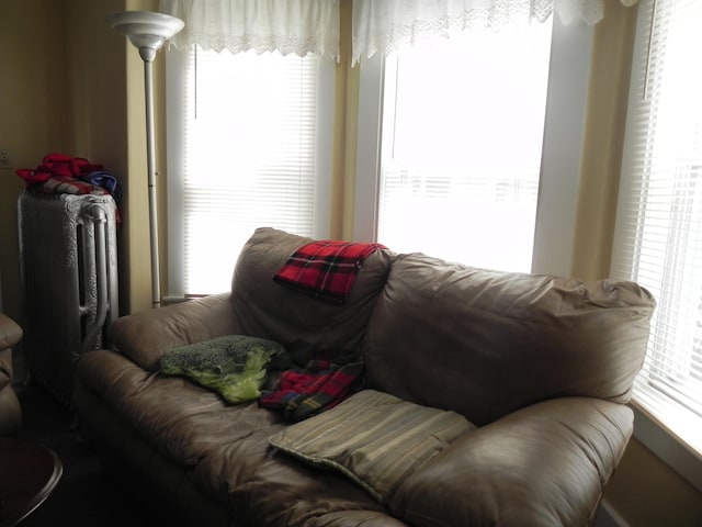 living room with radiator heating unit and a wealth of natural light