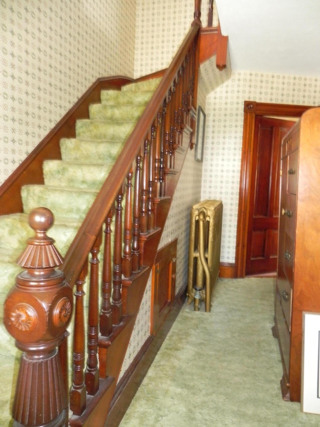 stairway with carpet flooring