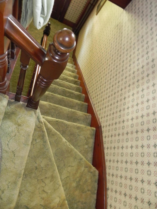 stairs featuring carpet