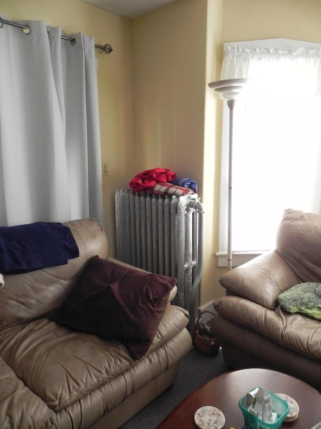 living room featuring radiator