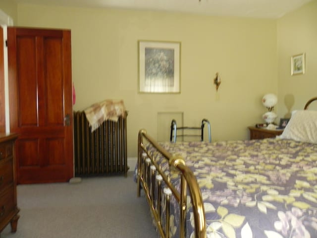 carpeted bedroom with radiator