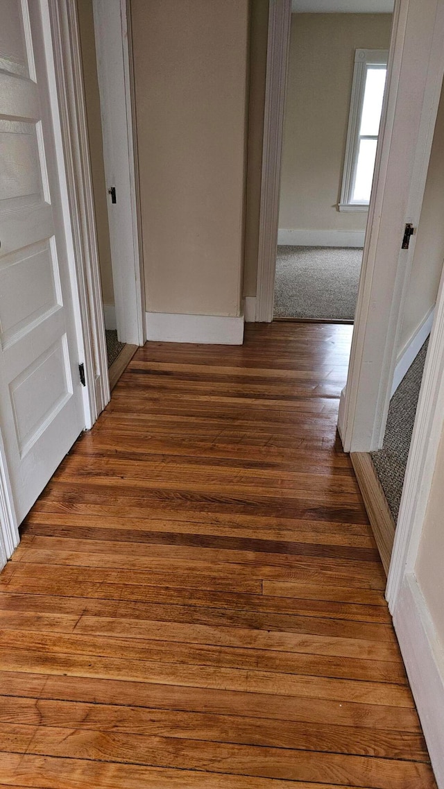 corridor with wood-type flooring