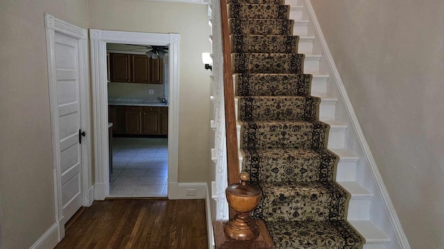 staircase with wood-type flooring and ceiling fan