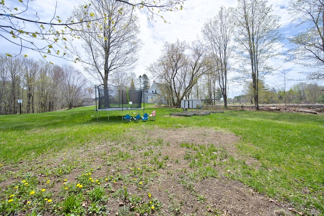 view of yard featuring a trampoline and a storage shed