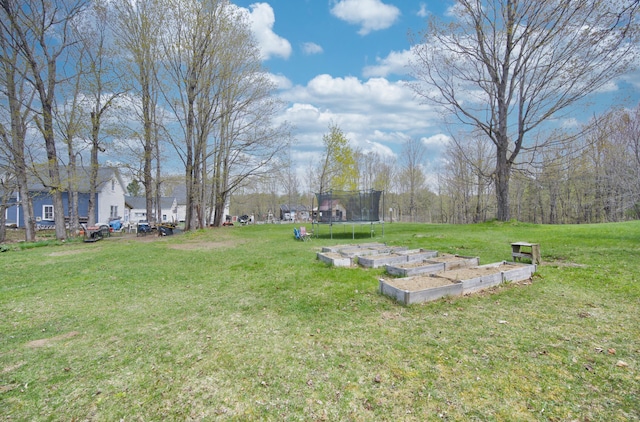 view of yard featuring a trampoline