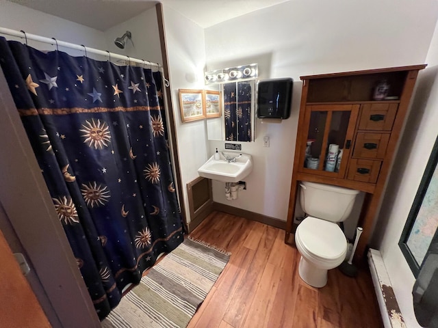9 Tenney Hill Rd, Monson, ME 04464 - bathroom featuring wood-type flooring, sink, and toilet