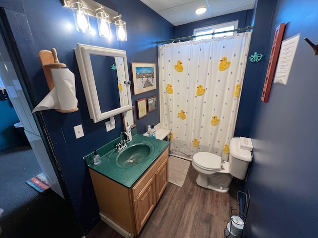 9 Tenney Hill Rd, Monson, ME 04464 - bathroom featuring a drop ceiling, hardwood / wood-style floors, toilet, and vanity